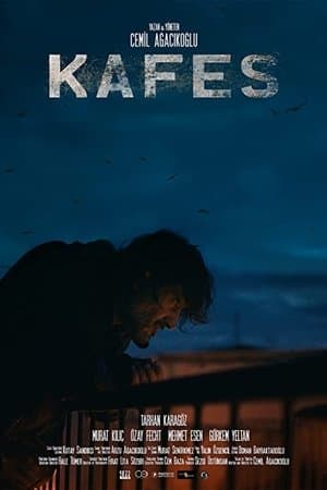 The Cage streaming