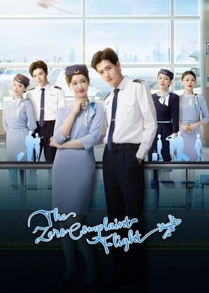 The Zero Complaint Flight streaming