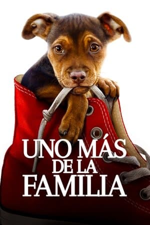 Uno más de la familia streaming