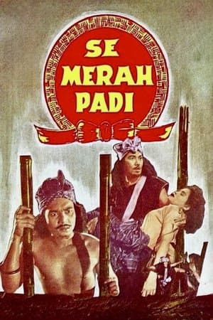 Semerah Padi streaming