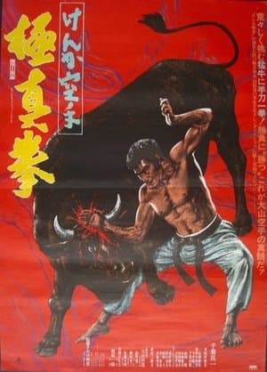 Karate Bullfighter streaming