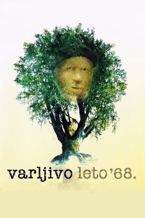 The Elusive Summer of '68 streaming