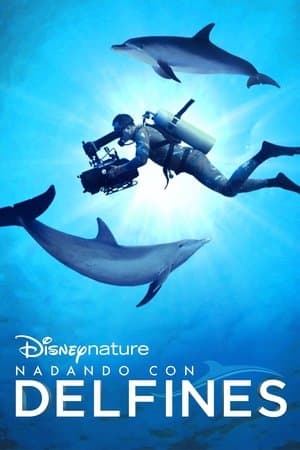 Nadando con delfines streaming