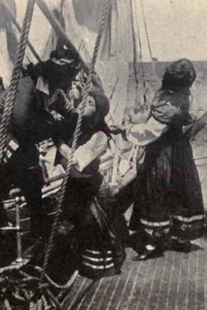 The Rose of Old St. Augustine streaming