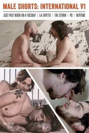 Male Shorts: International V1 streaming