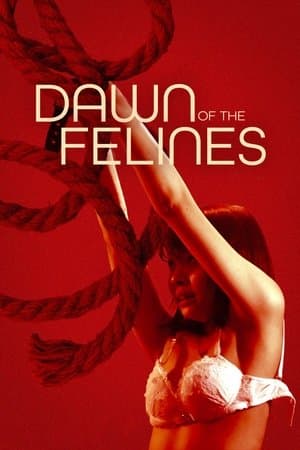 Dawn of the Felines streaming