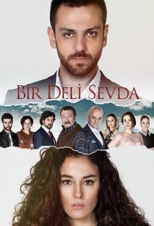 Bir Deli Sevda streaming