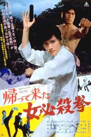 The Return of Sister Street Fighter streaming