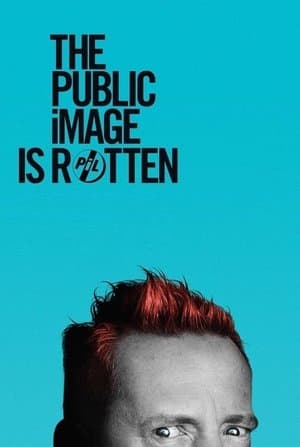 The Public Image Is Rotten streaming
