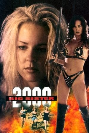 Big Sister 2000 streaming