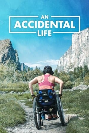 An Accidental Life streaming