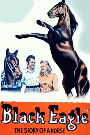 Black Eagle streaming