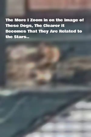 The More I Zoom in on the Image of These Dogs, The Clearer it Becomes That They Are Related to the Stars. streaming