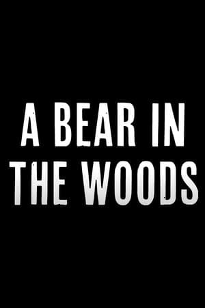 A Bear in the Woods streaming