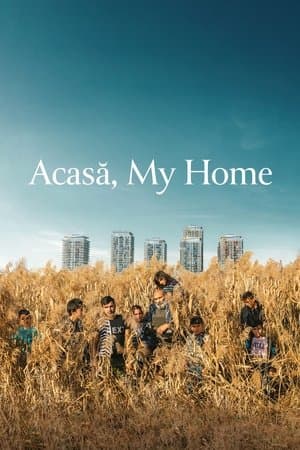 Acasă, My Home streaming