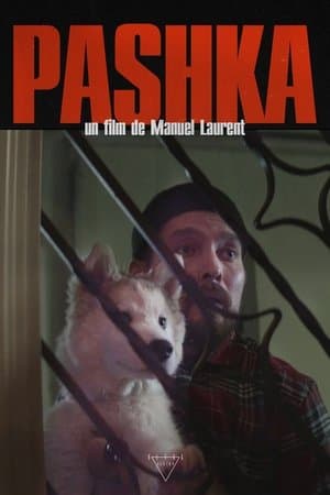 Pashka streaming