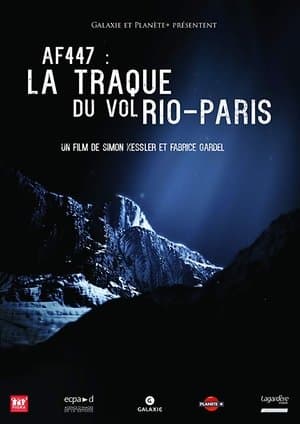 AF 447 : la traque du vol Rio-Paris streaming