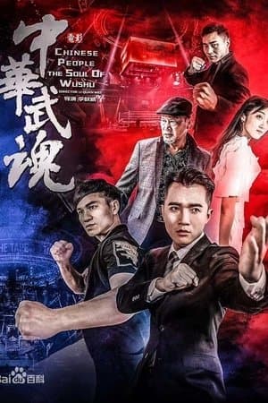 Kung Fu Soul streaming