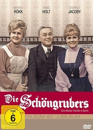 Die Schöngrubers streaming