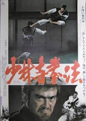 Shaolin Karaté streaming