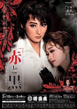 The Red and the Black streaming