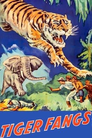 Tiger Fangs streaming