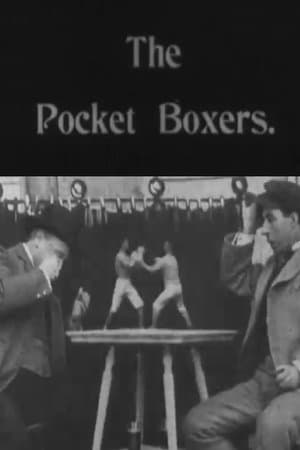 Pocket Boxers streaming