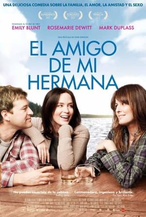El amigo de mi hermana streaming