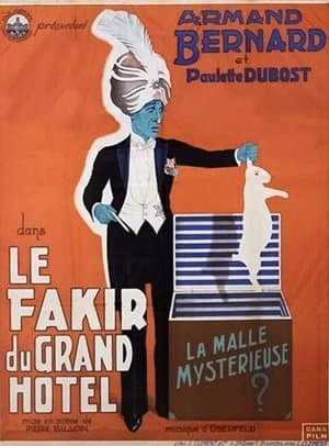 Le Fakir du Grand Hôtel streaming