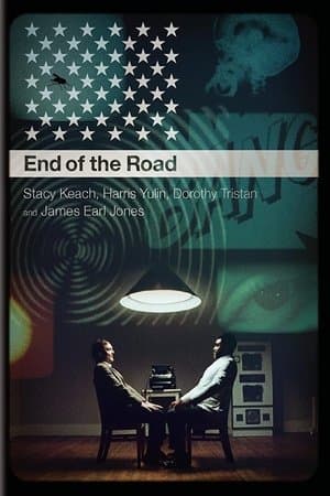 An Amazing Time: A Conversation About End of the Road streaming