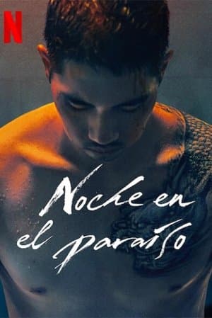 Noche en el paraíso streaming