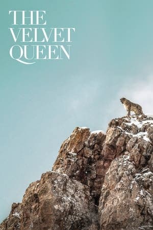 The Velvet Queen streaming