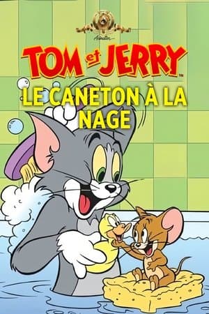 Le caneton à la nage streaming