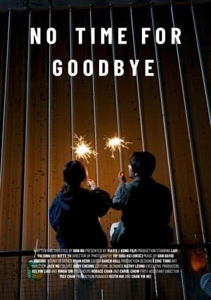 No Time For Goodbye streaming