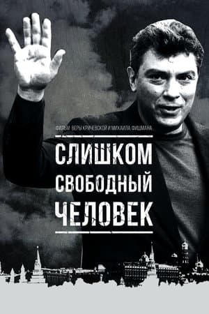 Boris Nemtsov - un visionnaire assassiné streaming