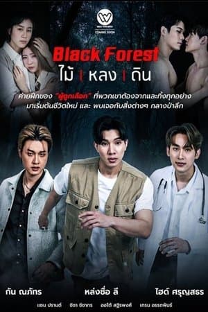 Black Forest streaming