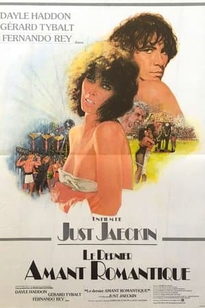 Le dernier amant romantique streaming