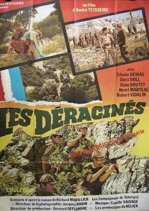 Les Déracinés streaming