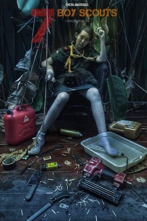 Nednari streaming