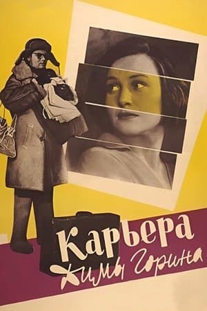 Dima Gorin's Career streaming