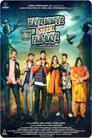 Haye Bibiye Kithe Fas Gaye streaming
