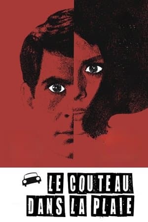 Le Couteau dans la plaie streaming