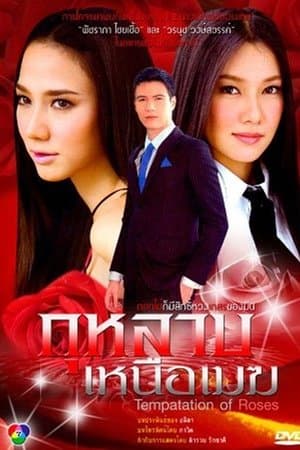 Temptation of the Roses streaming