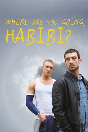 Where Are You Going, Habibi? streaming