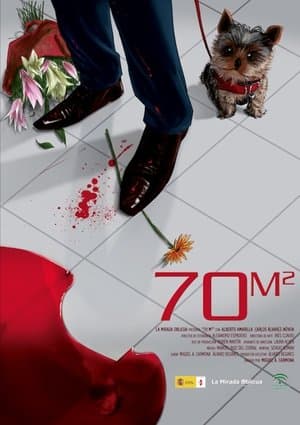 70m2 streaming