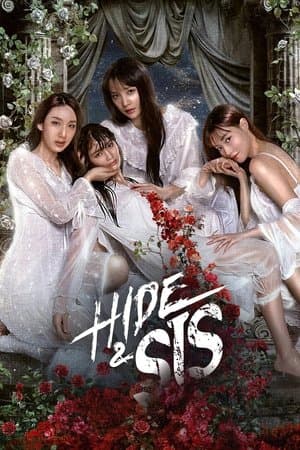 Hide & Sis streaming