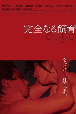 Perfect Education: étude streaming