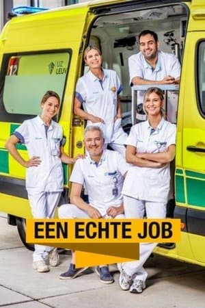 Een Echte Job streaming
