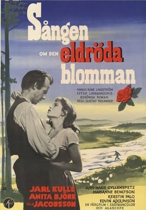 Sången om den eldröda blomman streaming