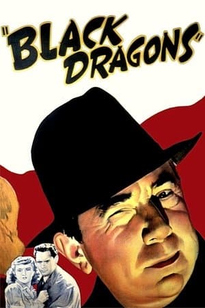 Black Dragons streaming